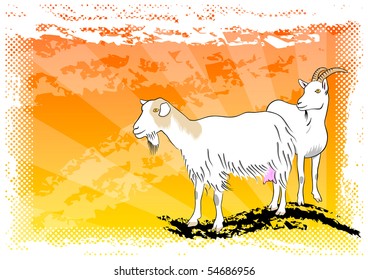 goat on the abstract orange background