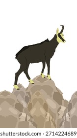 Caprino no penhasco camois ilustração vetor isolado no fundo. Símbolo de animal selvagem. Caprino no habitat natural da vida selvagem carneiro Bighorn na vida selvagem. Rocha escalando animal selvagem caminhando atração zoológico.
