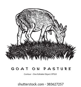 Goat On Pasture. Graphic Vector Illustration. Black and white image.