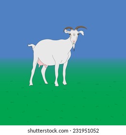 Goat on a sky background.