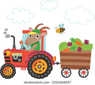 goat on a tractor carrying vegetables