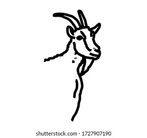 Cabra en un fondo blanco. Silueta lineal. Ilustración vectorial.