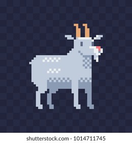 Goat. Pixel art. Flat style. Cartoon animal farm icon for children's mobile app, book illustration and sticker. Video game sprite. Isolated vector illustration.
