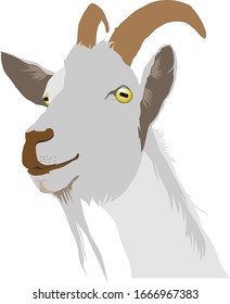 Goat or ram head, Icon, logo, vector graphics.