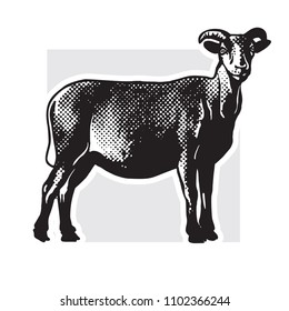 Goat - realistic black and white vector illustration. Cute farm animal image in profile in engraving style. Portrait side view, graphic design element for logo or template.