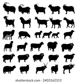 Goat and sheep breeds silhouettes. Vector illustration.