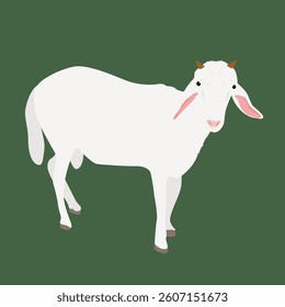 
Goat sheep with white fur animal illustration background green