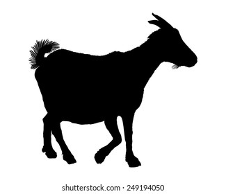 Goat silhouette