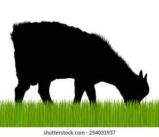 Goat silhouette 