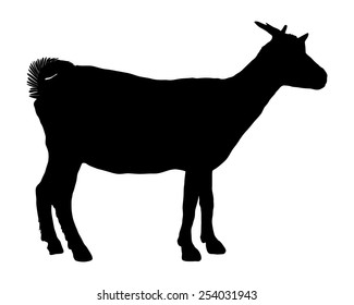 Download Goat Silhouette High Res Stock Images Shutterstock