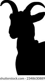 goat silhouette with horns. Vector graphics. isolated silhouette on white background