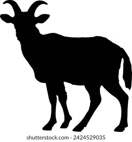 Goat Silhouette illustration Vector White Background