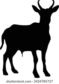 Goat Silhouette illustration Vector White Background