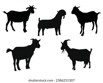 goat silhouette on white background