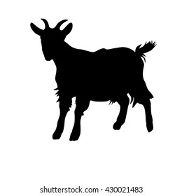 goat silhouette on white background