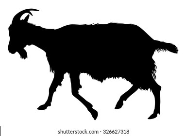 Goat silhouette
Rural farm animals on a white background