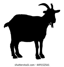 Goat silhouette. Rural farm animals on a white background