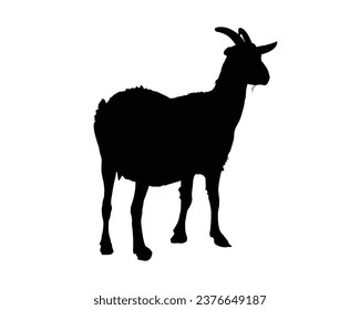 Goat Silhouette. Goat Vector Illustration.