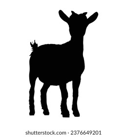 Cabra Silhouette. Ilustración del vector de cabra.