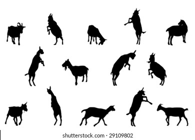 Free Free 188 Svg Jumping Baby Goat Silhouette SVG PNG EPS DXF File