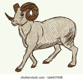 goat sketch