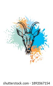 Goat sketch. Colorful sublimation on white background