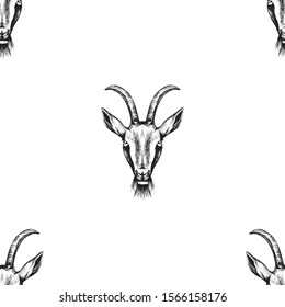 Goat sketch seamless pattern. Animal background black and white