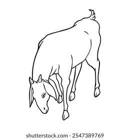 goat sketch vector illustration,isolated on white background,top view