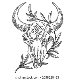 Goat skull decorated ornament and  branch with leaves. Sketch. Engraving style. Vector illustration.