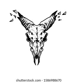 Goat skull design vector illustration