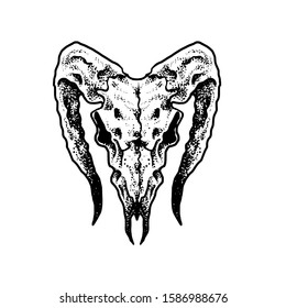 Goat skull design vector illustration