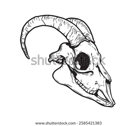 Goat Skull Digital Hand Drawn Line art Sketch Vector illustration in Retro Engraving Style. High Detailed Vintage Vector Illustration. Dramatic and detailed artwork of a black-horned goat skull. 