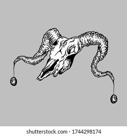 goat  skull hand drawing by ink. Buffalo cranium vector illustration. Cow head bone black isolated on white background