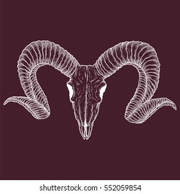 Goat skull hand drawn. Drawing sketch of the skull of a goat. A demon, supernatural, malevolent. Witchcraft, occultism, mythology and folklore, religion attribute. Vector.