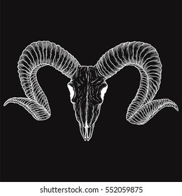 Goat skull hand drawn. Drawing sketch of the skull of a goat. A demon, supernatural, malevolent. Witchcraft, occultism, mythology and folklore, religion attribute. Vector.