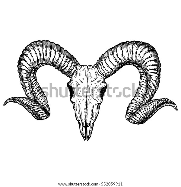 白い背景に山羊の頭の手描き ヤギの頭蓋骨のスケッチを描く 悪魔 超自然的 邪悪 魔術 呪術 神話 民話 宗教の属性 ベクター画像 のベクター画像素材 ロイヤリティフリー