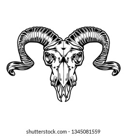 Goat skull vector