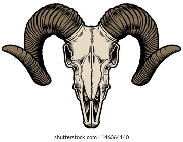 Goat Skull Vector