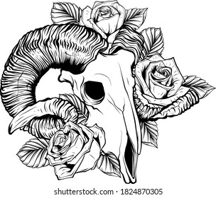 goat skull vector illustration. goat devilish magical symbol and Flowers peonies and roses