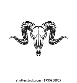 Goat Skull vector illustration  nice for t  shirt  patch  sticker 