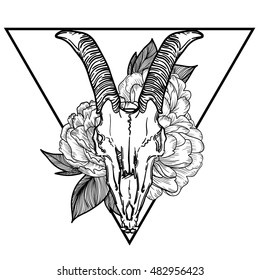 goat skull vector illustration. occult symbol. goat devilish magical symbol and Flowers peonies and roses in the triangle