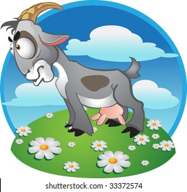 goat with spot on background