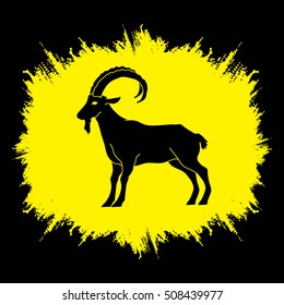 Goat standing designed on grunge frame background graphic vector.