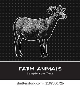 Goat standing isolated on a black - vector graphic illustration. Beautiful drawing portrait of a farm animal. Black and white picture is a design element and clip art. 