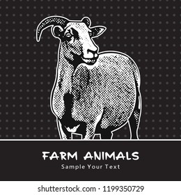 Goat standing isolated on a black - vector graphic illustration. Beautiful drawing portrait of a farm animal. Black and white picture is a design element and clip art. 