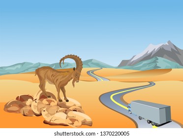 A goat standing on the stones, desert landscape, highway road in the desert, truck vector