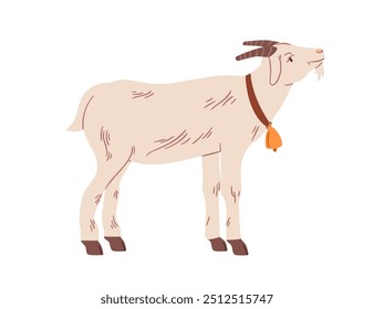 Goat standing in profile with bell collar. Horned domestic farm animal, rural countryside livestock. Country village fauna. Flat graphic vector illustration isolated on white background