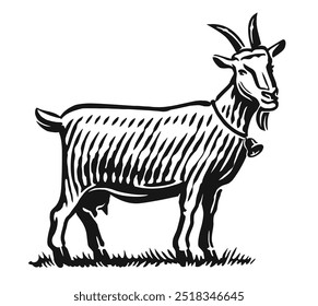 Cabra fica em altura, animal de fazenda. Ilustração de vetor de estilo de esboço desenhado à mão