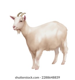 goat with style hand drawn digital painting illustration