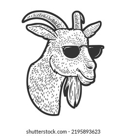 goat in sunglasses sketch engraving vector illustration. Scratch board imitation. Black and white hand drawn image.